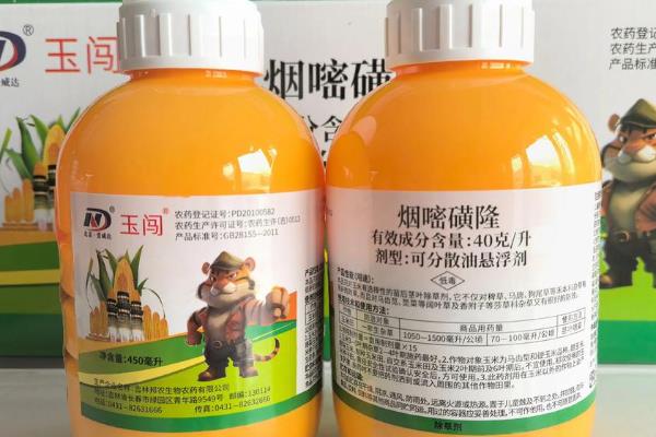烟嘧磺隆对玉米产生药害怎么办，严重时可喷施赤霉素与尿素溶液
