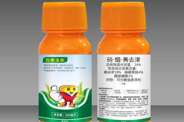 烟嘧磺隆对玉米产生药害怎么办，严重时可喷施赤霉素与尿素溶液