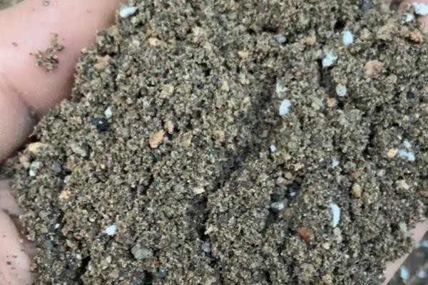 姬玉露的浇水方式，根据季节来浇水