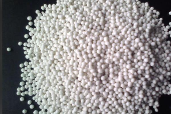 郁金香怎么家养，喜欢微酸性的花土