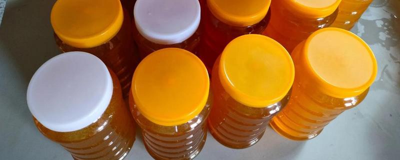 意蜂蜜还是中蜂蜜更好，中蜂蜜的营养含量可能稍胜一筹