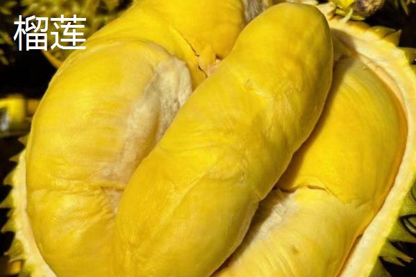 榴莲、菠萝蜜和榴莲蜜的区别,产地和果肉均不同