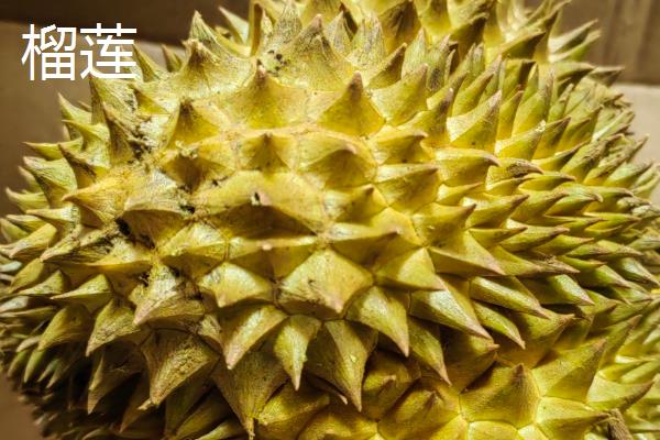 榴莲、菠萝蜜和榴莲蜜的区别,产地和果肉均不同
