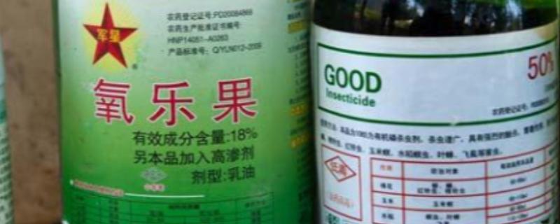 氧乐果禁止在什么作物上使用，不可在蔬菜、西瓜、南瓜上施用