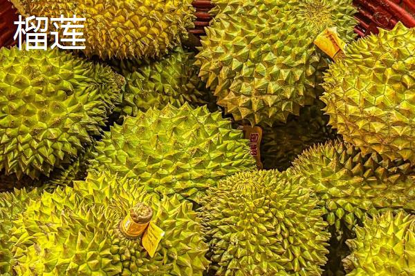 榴莲、菠萝蜜和榴莲蜜的区别,产地和果肉均不同