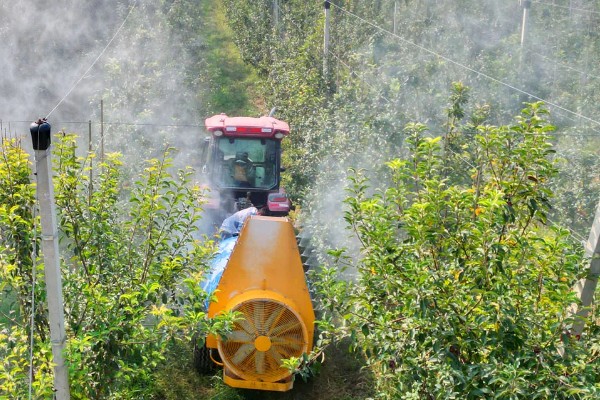 果园用药怎么提高药效，不能长期单一使用某种药物