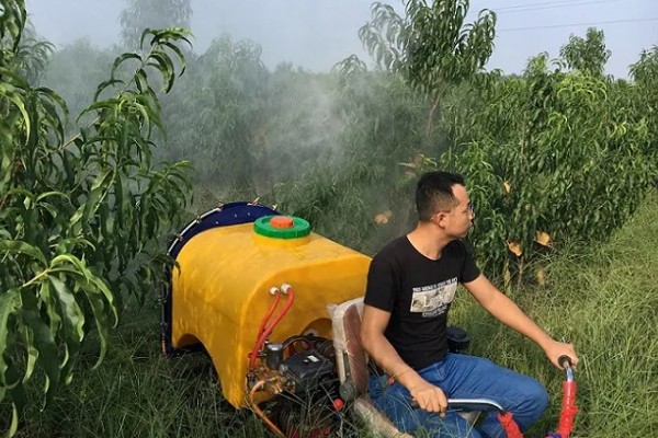 果园用药怎么提高药效，不能长期单一使用某种药物