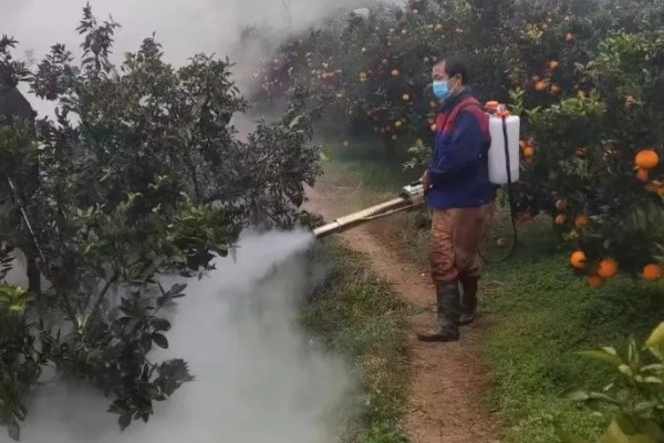 果园用药怎么提高药效，不能长期单一使用某种药物