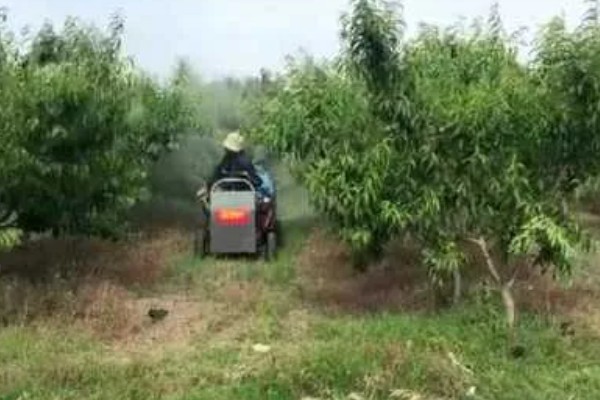 果园用药怎么提高药效，不能长期单一使用某种药物