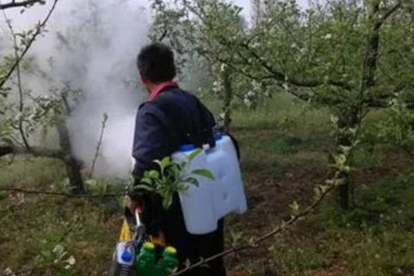 果园用药怎么提高药效，不能长期单一使用某种药物