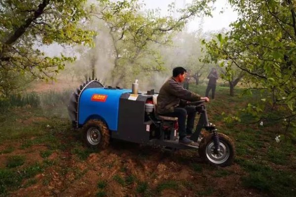 果园用药怎么提高药效，不能长期单一使用某种药物