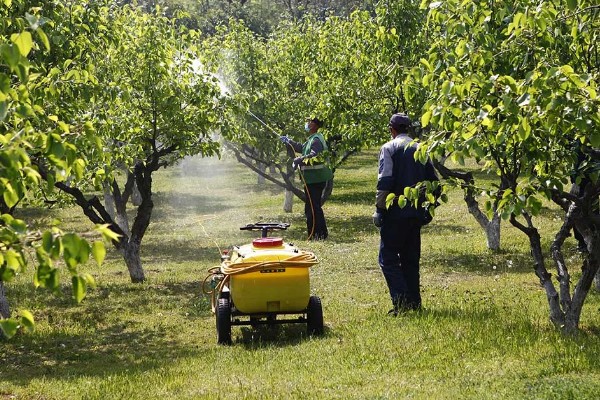 果园用药怎么提高药效，不能长期单一使用某种药物