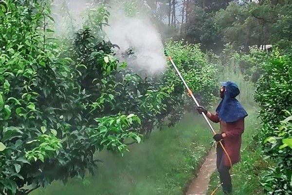 果园用药怎么提高药效，不能长期单一使用某种药物