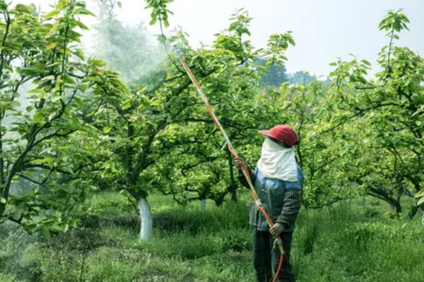 果园用药怎么提高药效，不能长期单一使用某种药物