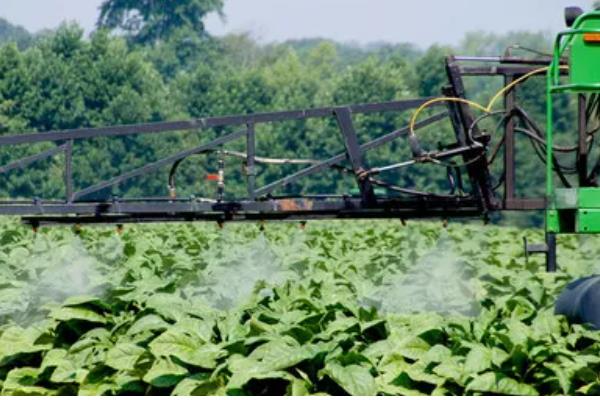 防治根腐病的方法，播种前可用粉锈宁拌种