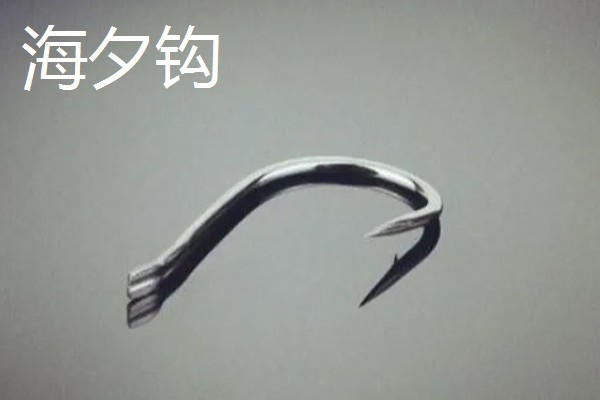 冬季黑坑钓鳊鱼选择哪种饵料，使用蚯蚓、红虫等活饵效果较好