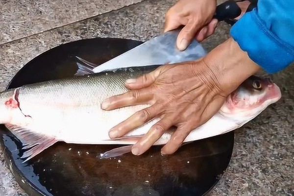 白鲢鱼为什么很便宜，受到产量高、肉质差等因素的影响