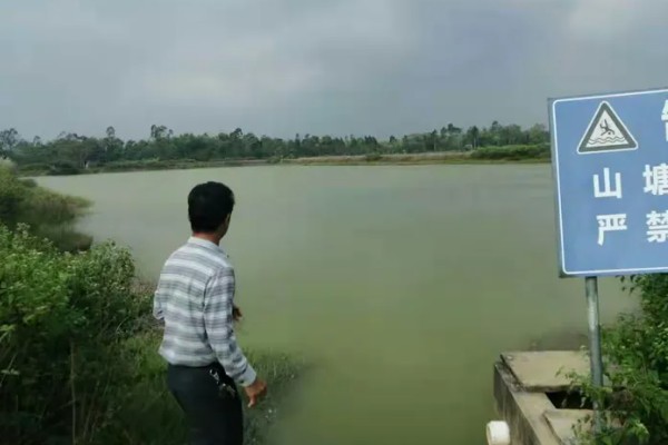 怎么养虾，根据虾苗的规格决定投放数量