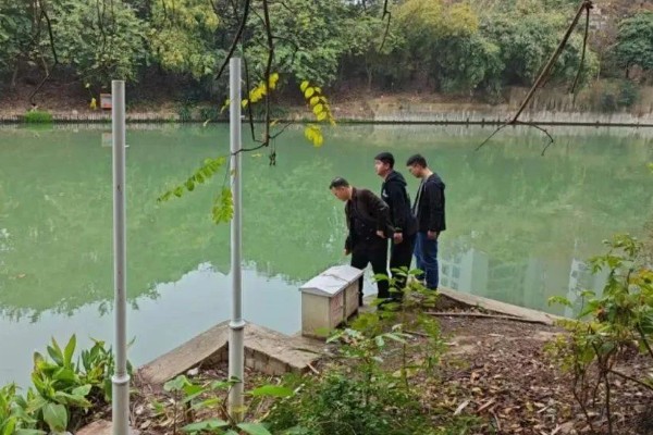 怎么养虾，根据虾苗的规格决定投放数量