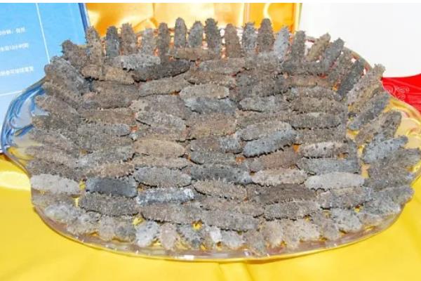 海参的保存方法，干海参放在通风干燥处即可