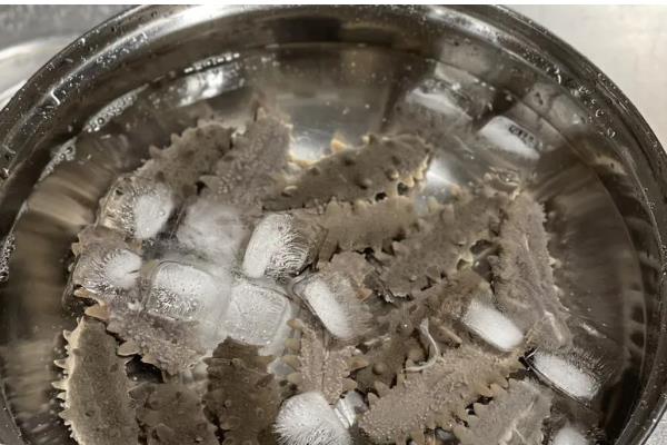 海参的保存方法，干海参放在通风干燥处即可