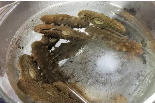 海参的保存方法，干海参放在通风干燥处即可