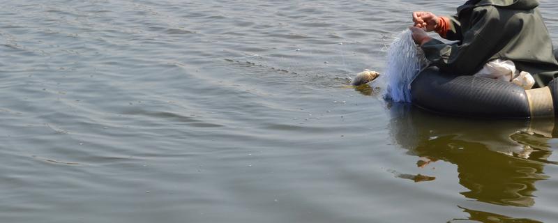 古代的捕鱼方法，有弯沟捕鱼法、鱼笼捕鱼等方式