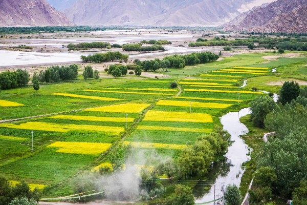 农业种植致富项目，推荐羊肚菌、百香果种植等
