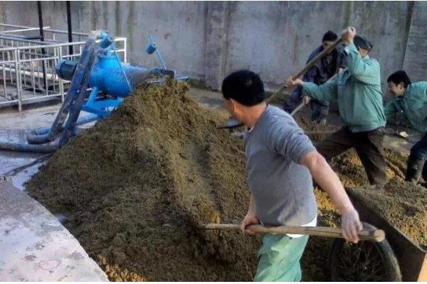 猪舍内的猪粪怎么处理，可以用机械清粪