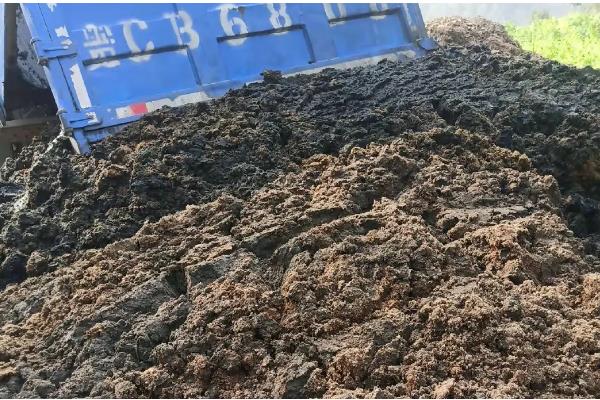 猪舍内的猪粪怎么处理，可以用机械清粪