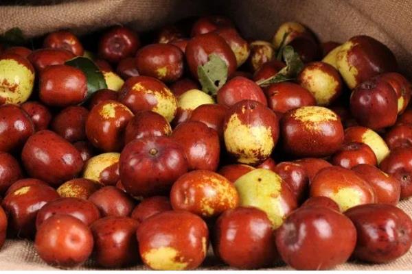 红枣为什么会烂果，可能是果实开裂受损、贮藏不当所致