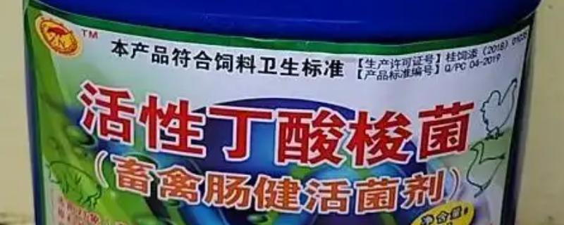 丁酸梭菌在水产养殖中有什么作用，能起到增强水产动物消化能力等效果