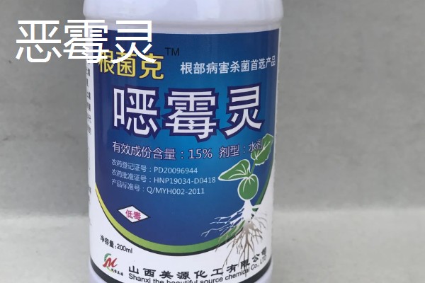 怎么养小叶黄杨盆景，冬季要施1次基肥