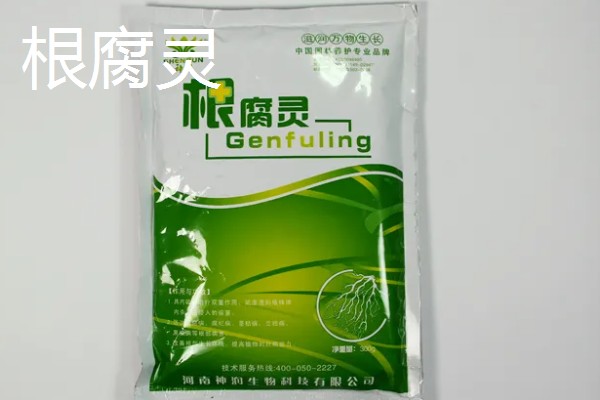 怎么养小叶黄杨盆景，冬季要施1次基肥