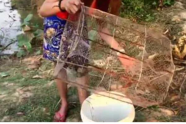 古代的捕鱼方法，有弯沟捕鱼法、鱼笼捕鱼等方式