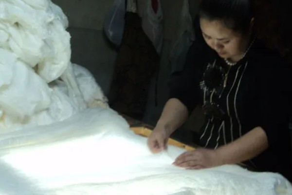 蚕茧做成蚕丝被的方法，可按以下步骤进行