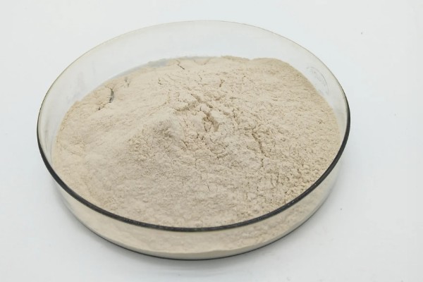 丁酸梭菌在水产养殖中有什么作用，能起到增强水产动物消化能力等效果