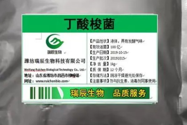 丁酸梭菌在水产养殖中有什么作用，能起到增强水产动物消化能力等效果