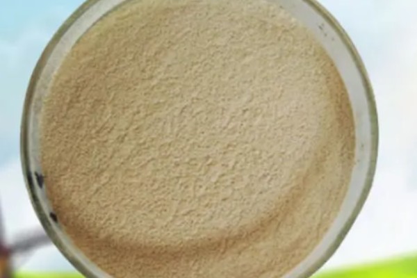 丁酸梭菌在水产养殖中有什么作用，能起到增强水产动物消化能力等效果