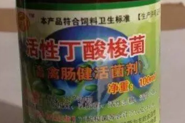 丁酸梭菌在水产养殖中有什么作用，能起到增强水产动物消化能力等效果