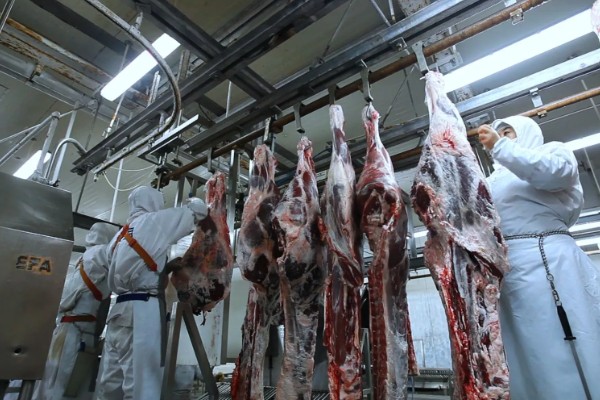 自己养的猪能自己屠宰卖肉吗，若未经过疫检则不能售卖