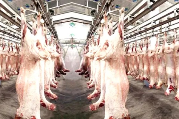 自己养的猪能自己屠宰卖肉吗，若未经过疫检则不能售卖