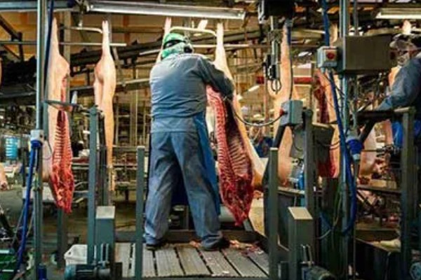 自己养的猪能自己屠宰卖肉吗，若未经过疫检则不能售卖