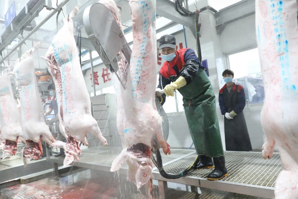 自己养的猪能自己屠宰卖肉吗，若未经过疫检则不能售卖