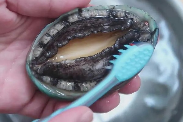 鲍鱼如何清洗,可以先用清水浸泡一会儿