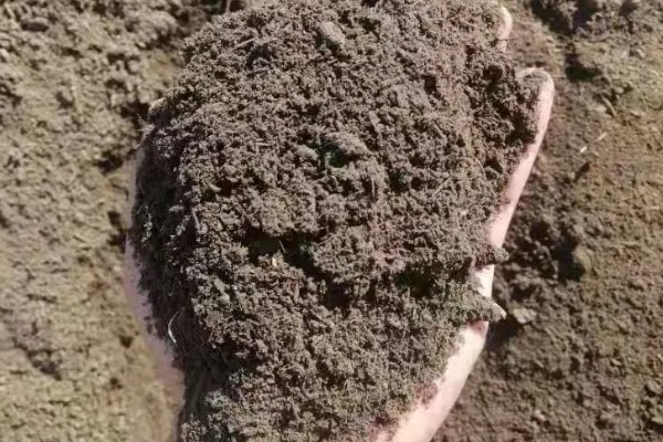 不动土栽培菌肥的配方，将糖渣、菌渣、药渣等混合发酵