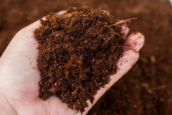 不动土栽培菌肥的配方，将糖渣、菌渣、药渣等混合发酵