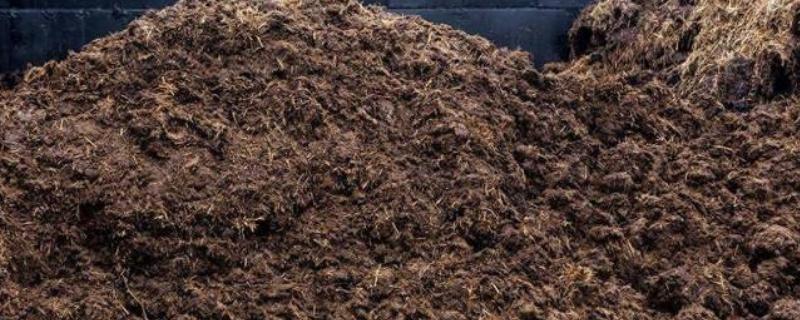 不动土栽培菌肥的配方，将糖渣、菌渣、药渣等混合发酵