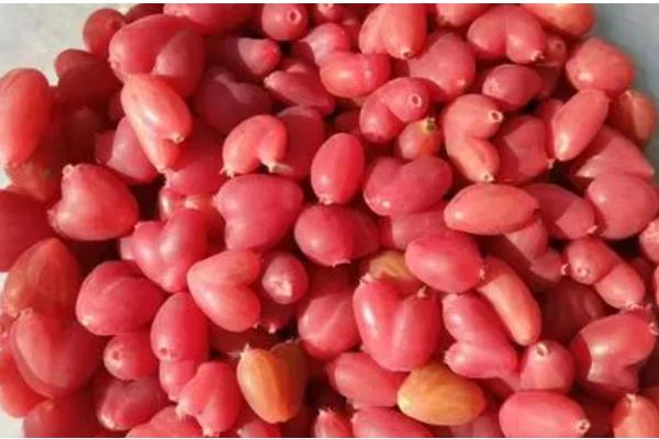 杈杷果的存放时间，放在通风阴凉处可保存一周左右