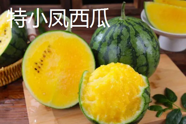 西瓜的产地，全国各地都有栽培